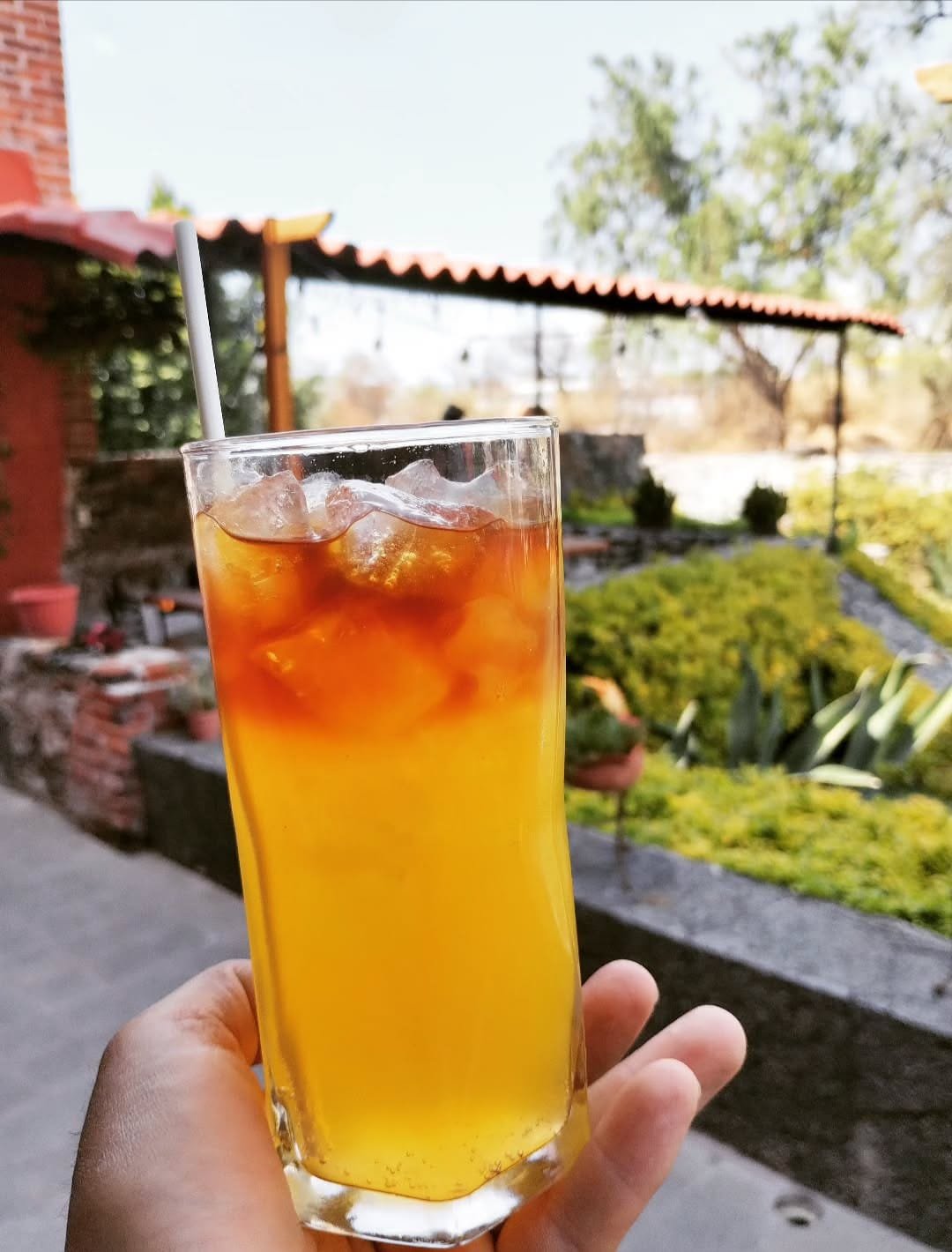 Bebidas